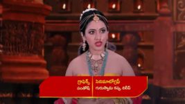 Renuka Yellamma (Star Maa) S01 E148 Yellamma Rescues Renuka