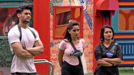 Bigg Boss Telugu (Star Maa) S07 E20 Day 19: Who Will Be the Third Housemate?