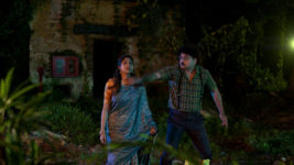 Horogouri Pice Hotel S01 E292 Khokon to Save Oishani?