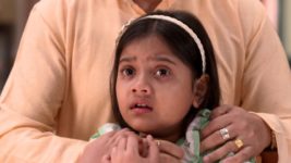 Horogouri Pice Hotel S01 E299 Oishani to Adopt Jhilmil?