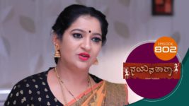 Nayanatara (kannada) S01 E802 1st September 2023