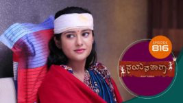 Nayanatara (kannada) S01 E816 15th September 2023