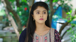 Vantalakka S01 E402 Varalakshmi, Vishnu to Unite?