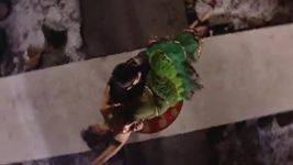 Yahaan Main Ghar Ghar Kheli S01 E314 18th February 2020