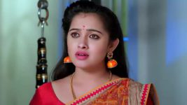 Annapoorna S01 E325 20th October 2023