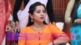 Gandharva Kumari Amrapali S01 E48 Brinda surprises Amrapali