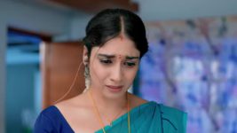 Subhasya Seeghram S01 E242 31st October 2023