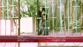 Ek Hasina Thi S08E24 Spy camera in Raima's room Full Episode