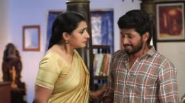 Pandian Stores S01E116 Meena Loses Her Cool Full Episode