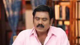 Pandian Stores S01E123 Meena Feels Left Out Full Episode