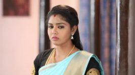 Pandian Stores S01E124 Meena Picks on Jeeva Full Episode