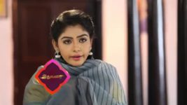 Pandian Stores S01E129 Parvathy at Mulla's House Full Episode