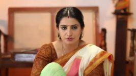 Pandian Stores S01E139 Meena Complains Against Dhanam Full Episode
