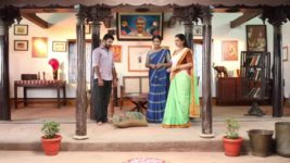 Pandian Stores S01E141 Jeeva Gets Infuriated Full Episode