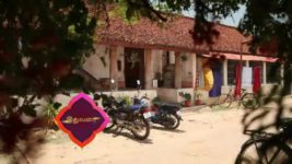 Pandian Stores S01E144 Jeeva Takes Care of Meena Full Episode