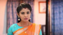 Pandian Stores S01E146 Meena Loses Her Cool Full Episode