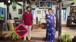 Pandian Stores S01E34 Meena Forewarns Jeeva Full Episode
