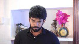 Pandian Stores S01E385 Mulla's Precautionary Measure Full Episode