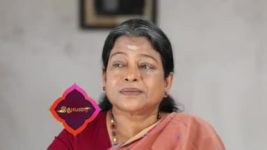 Pandian Stores S01E88 Lakshmi Criticises Meena Full Episode