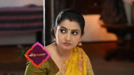 Pandian Stores S01E95 Meena Is Disappointed Full Episode