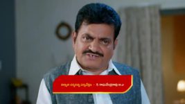 Yeda Loyallo Indradhanasu S01 E143 Pardhu's Efforts for Amulya