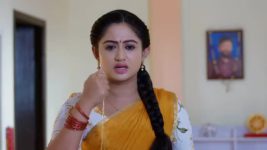 Yeda Loyallo Indradhanasu S01 E150 Subhashini's Cruel Plan