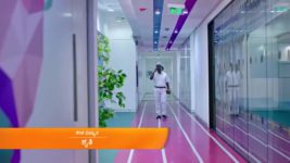 Amruthadhare S01 E114 1st November 2023