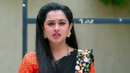 Annapoorna S01 E346 10th November 2023