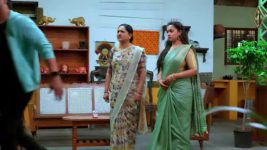 Annapoorna S01 E347 11th November 2023