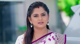 Guppedantha Manasu S01 E913 Vasudhara, Rishi are Implored