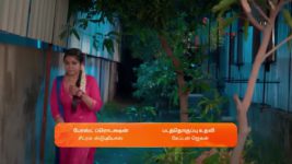 Karthigai Deepam S01 E284 1st November 2023