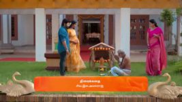 Karthigai Deepam S01 E294 11th November 2023