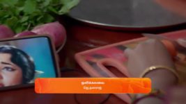 Karthigai Deepam S01 E295 13th November 2023