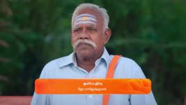 Karthigai Deepam S01 E299 17th November 2023
