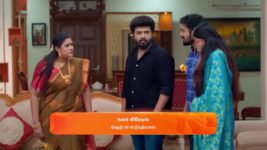 Karthigai Deepam S01 E300 18th November 2023
