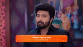 Karthigai Deepam S01 E301 19th November 2023