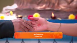 Karthigai Deepam S01 E311 29th November 2023