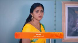 Karthigai Deepam S01 E312 30th November 2023