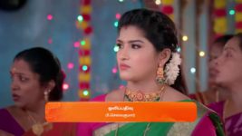 Meenakshi Ponnunga S01 E409 10th November 2023