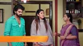 Puttakkana Makkalu S01 E528 29th November 2023