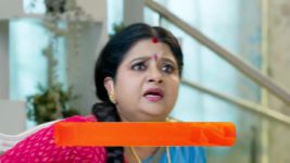 Radhaku Neevera Praanam S01 E167 3rd November 2023