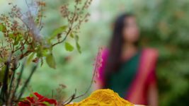Radhaku Neevera Praanam S01 E168 4th November 2023