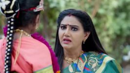 Radhaku Neevera Praanam S01 E170 7th November 2023