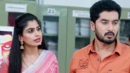 Radhaku Neevera Praanam S01 E176 14th November 2023