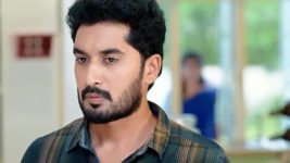Radhaku Neevera Praanam S01 E185 24th November 2023