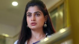 Radhaku Neevera Praanam S01 E186 25th November 2023