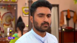 Ram Krishnaa S01 E227 Bhaifonta celebrations