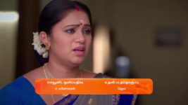Sandhya Raagam (Tamil) S01 E29 16th November 2023