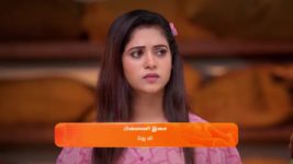Sandhya Raagam (Tamil) S01 E37 28th November 2023