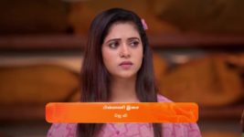 Sandhya Raagam (Tamil) S01 E37 28th November 2023